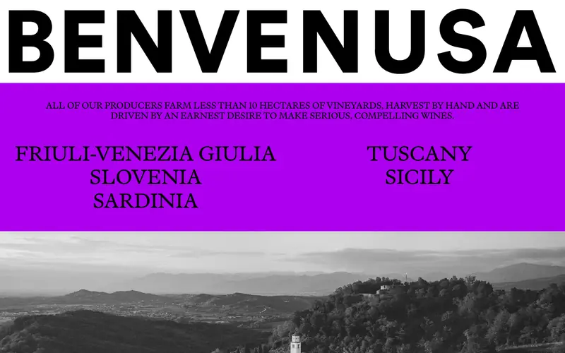 Benvenusa 데스크톱 화면