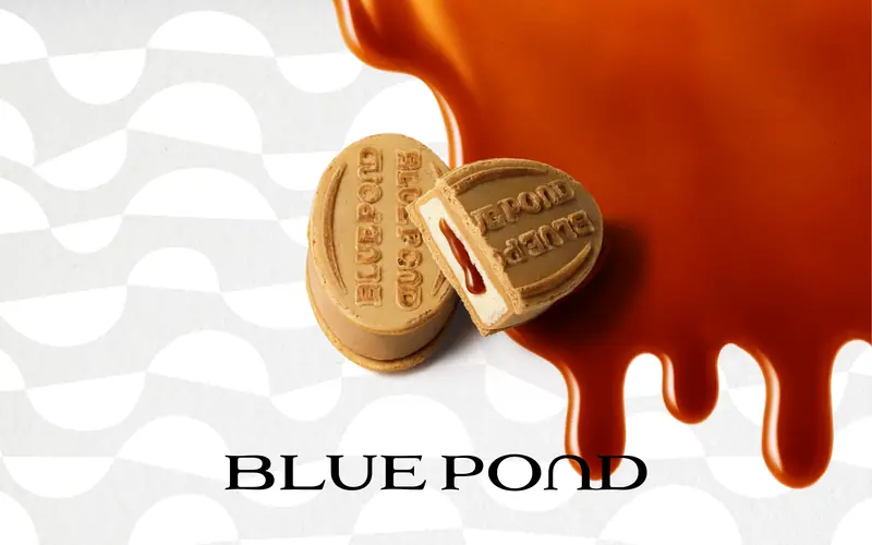 BLUE POND 웹사이트 데스크톱 화면 스크린샷 — 컬러풀, 레트로 스타일