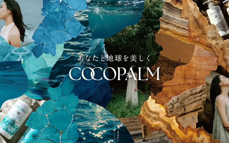 COCOPALM 웹사이트 데스크톱 화면 스크린샷 — 기업형, 일러스트레이션 스타일