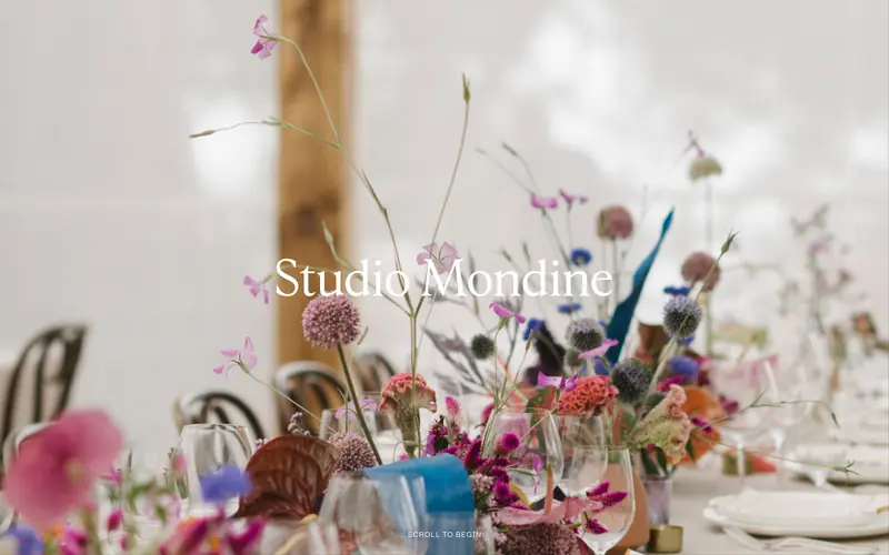 Studio Mondine 데스크톱 화면