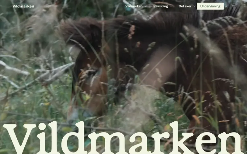 Vildmarken 데스크톱 화면