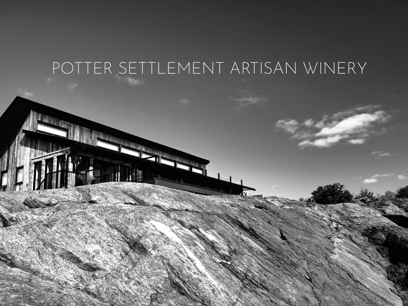 PotterSettlementWines.ca 웹사이트 데스크톱 화면 스크린샷 — 3D 스타일