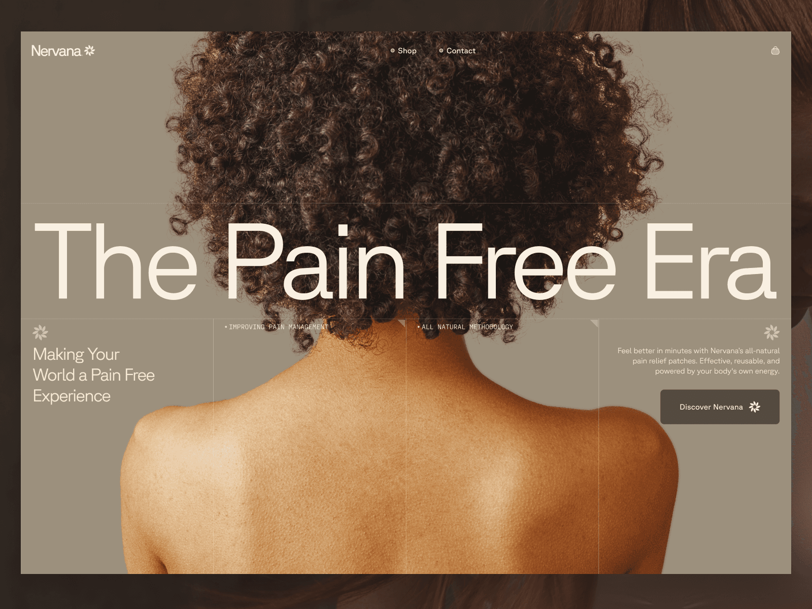 Nervana Health 웹사이트 데스크톱 화면 스크린샷 — 기업형 스타일