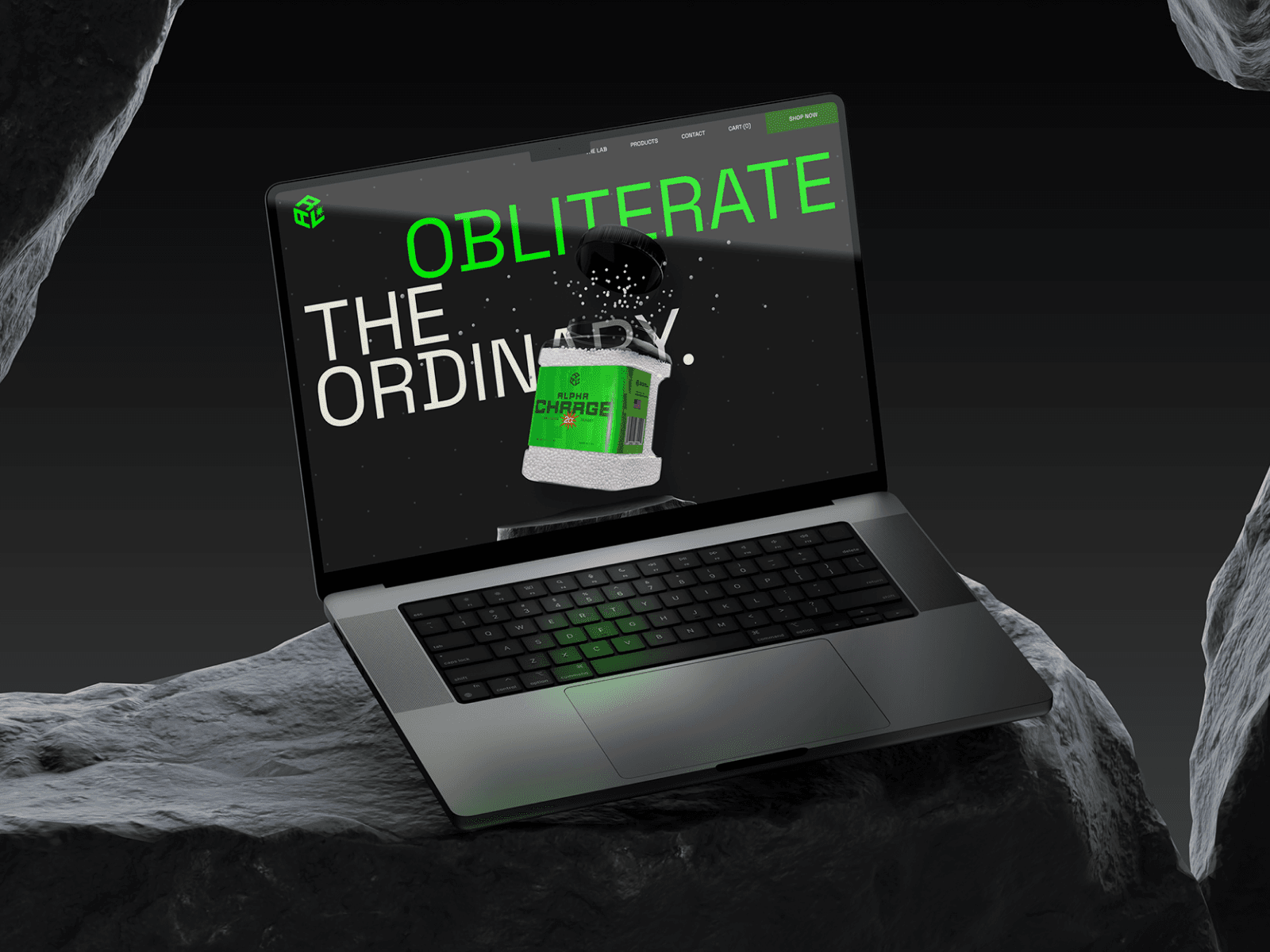 Adrenaline Research Labs 웹사이트 데스크톱 화면 스크린샷 — 모노크롬 스타일
