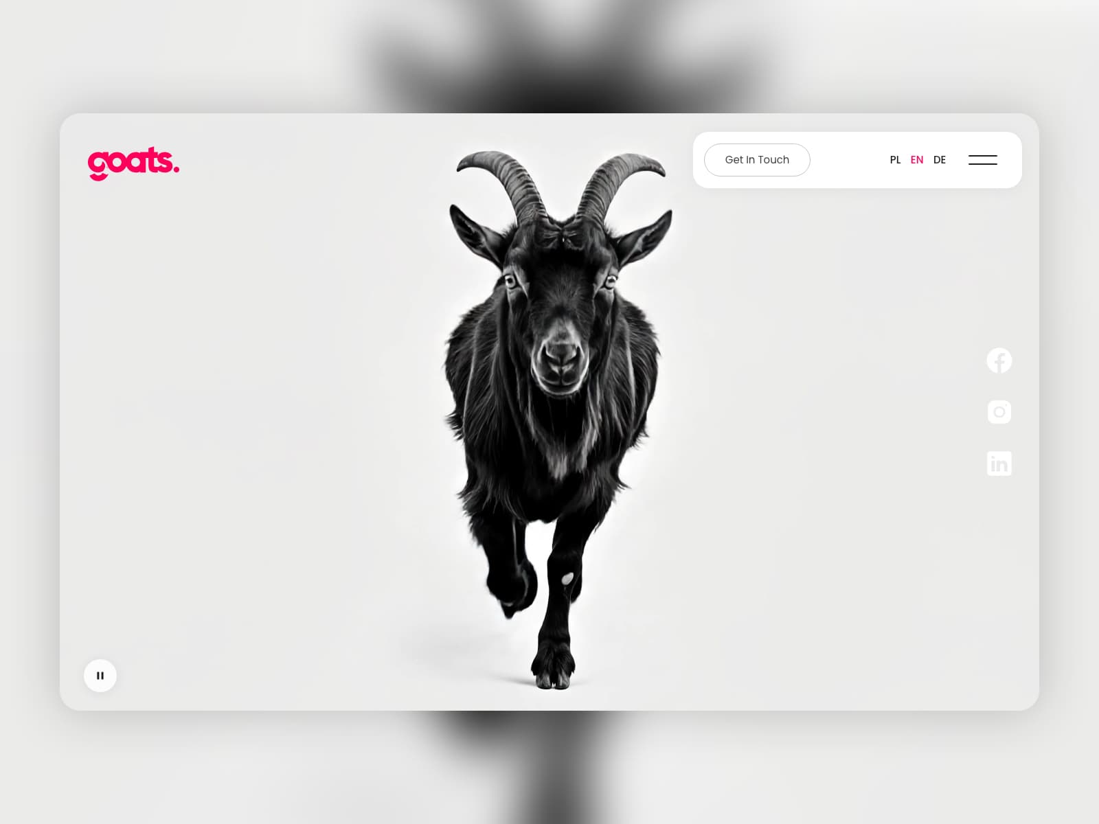 goats. — Studio brandingu i web developmentu 데스크톱 화면