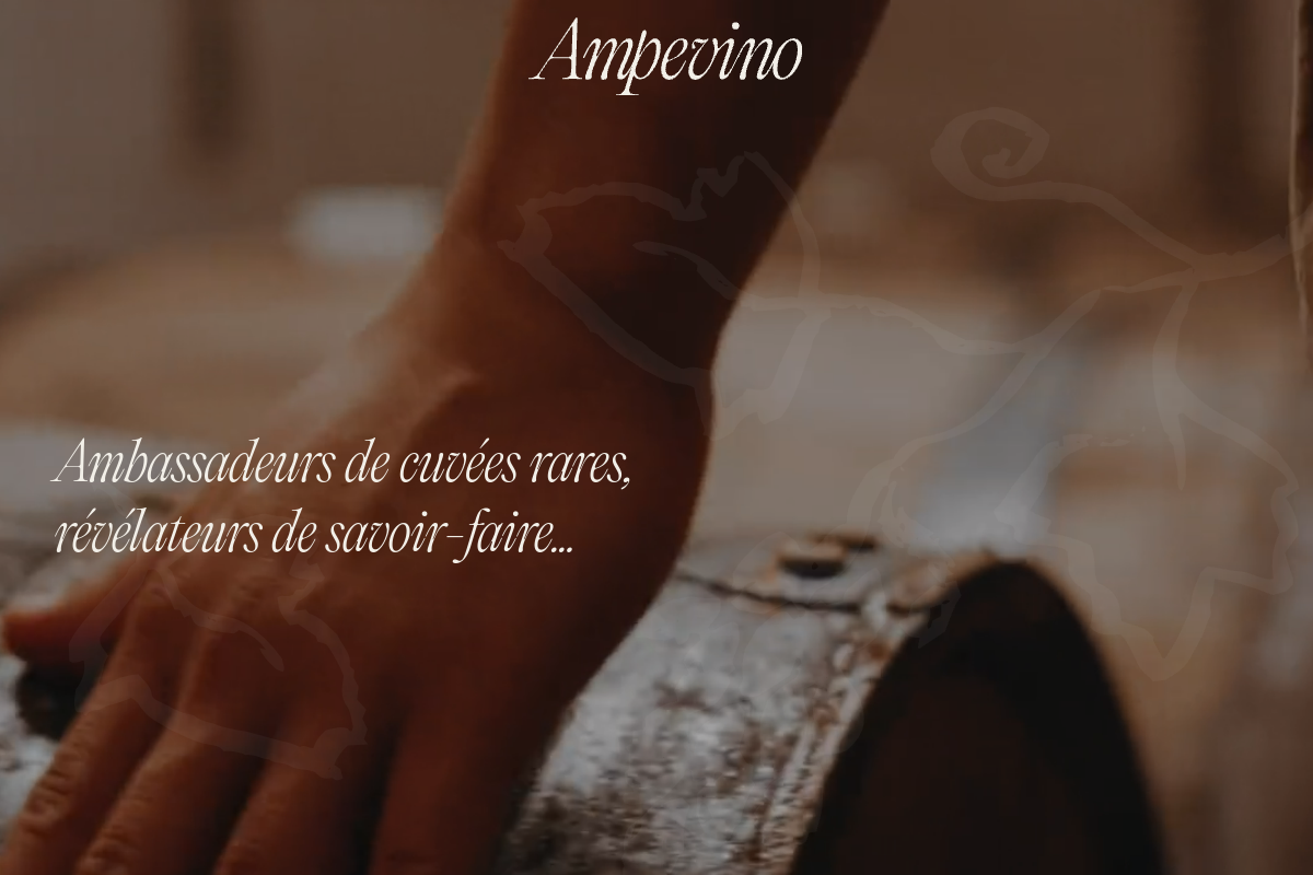 Ampevino 데스크톱 화면