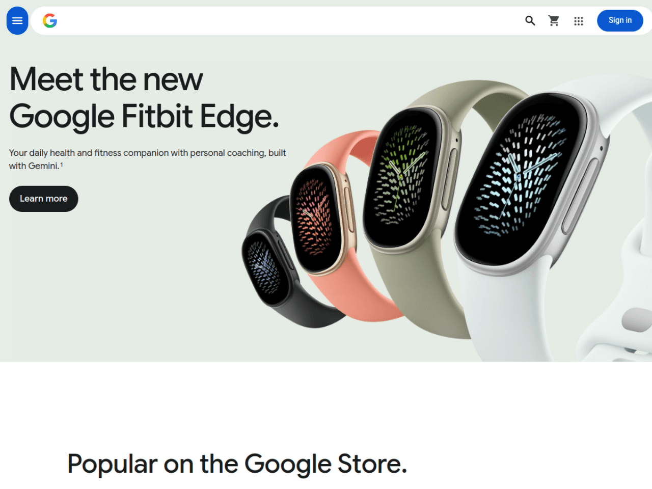 Google Store 웹사이트 데스크톱 화면 스크린샷 — 미니멀, 타이포그래피 스타일