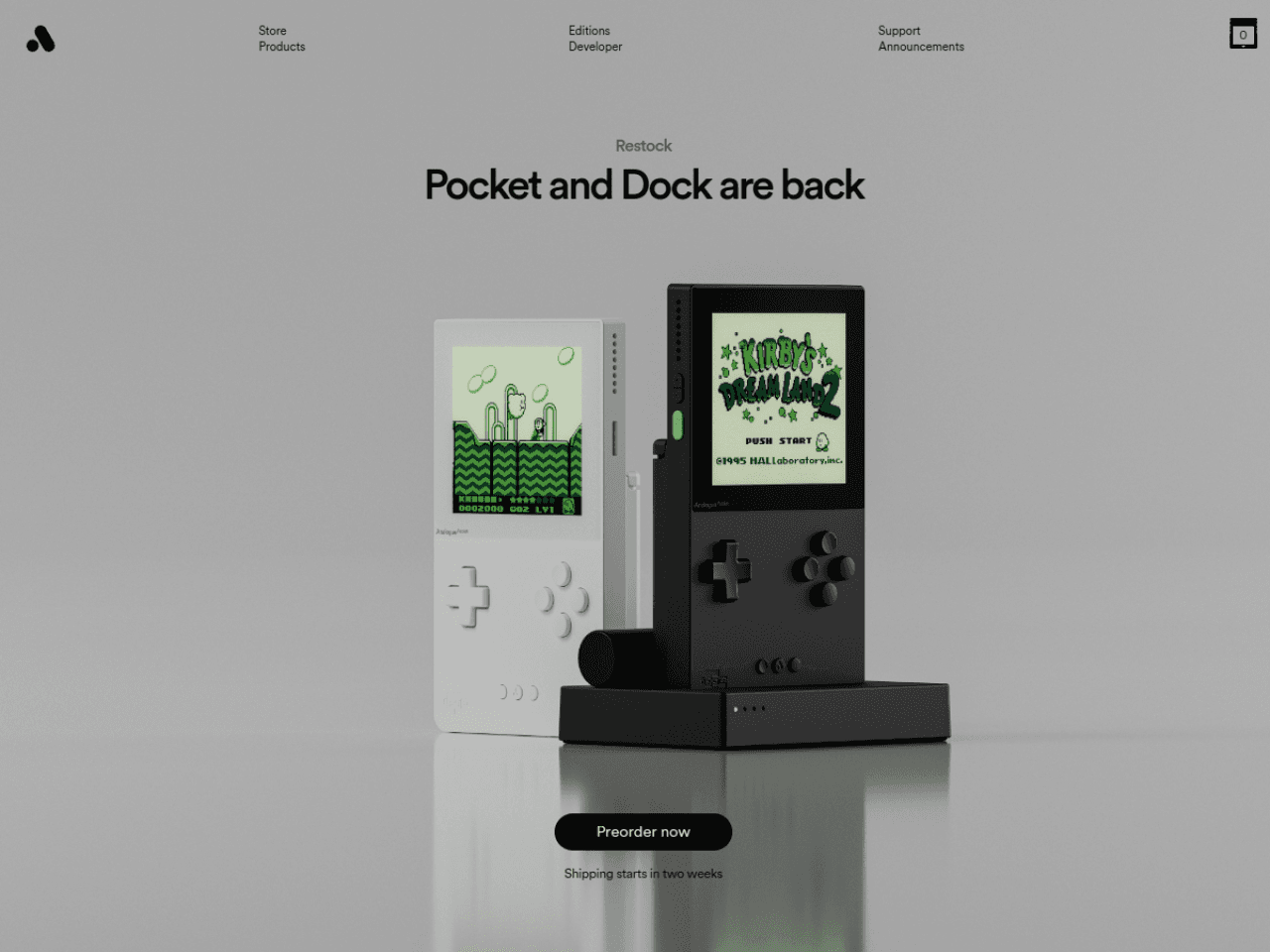 Analogue Pocket 웹사이트 데스크톱 화면 스크린샷 — 다크 모드, 브루탈리즘 스타일