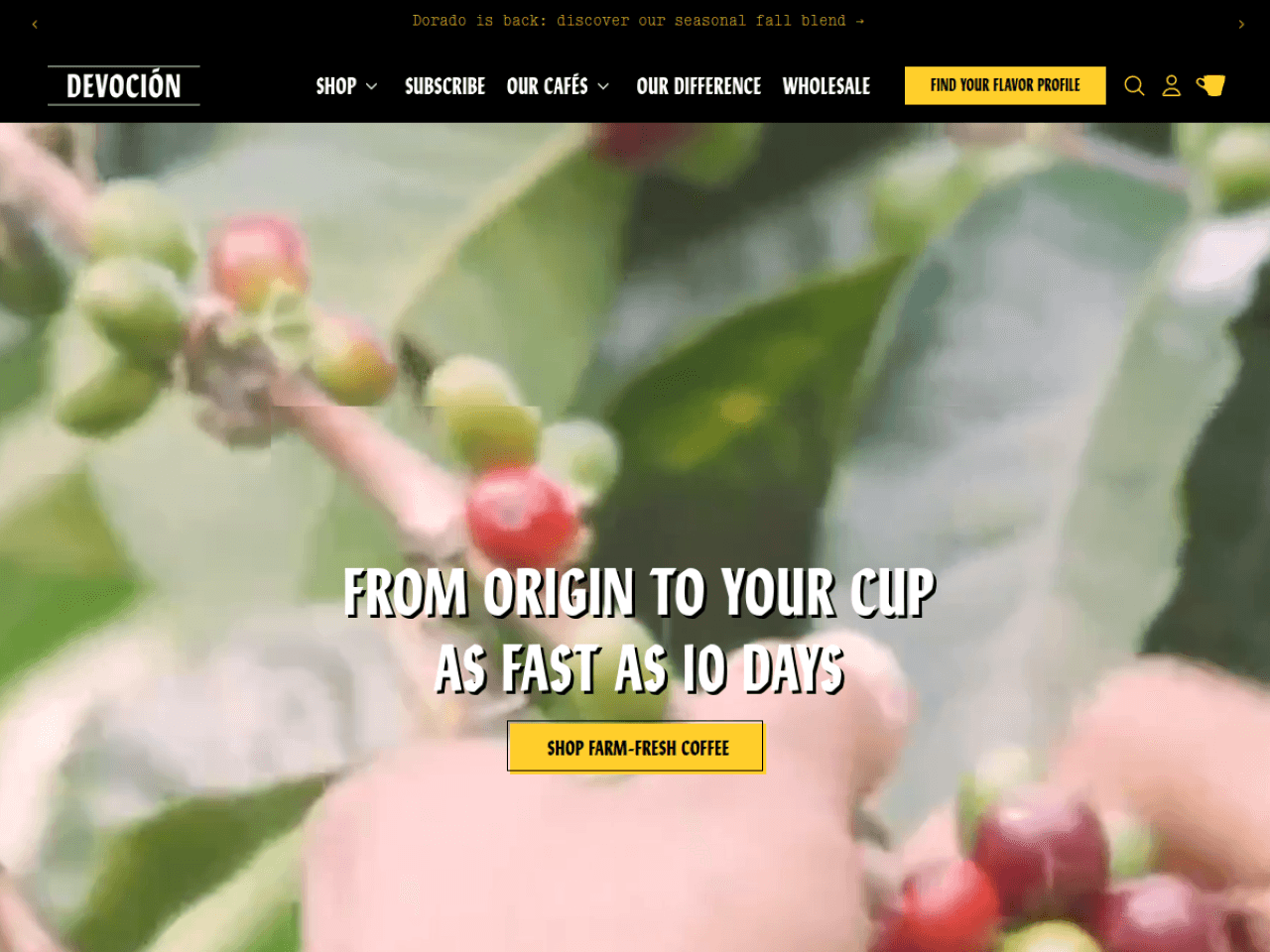 Devocion Coffee 웹사이트 데스크톱 화면 스크린샷 — 에디토리얼, 미니멀 스타일
